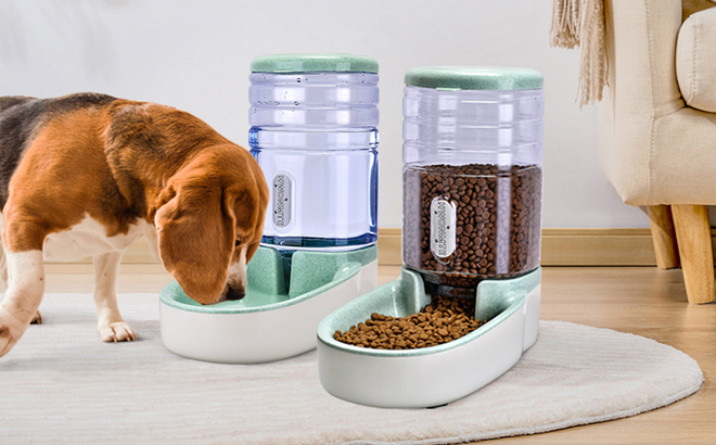 Kacoomi Automatic Dog and Cat Feeder and Water Dispenser