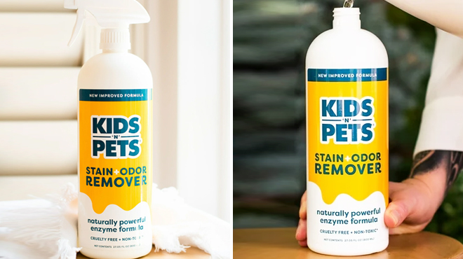 Kids n Pets Instant All Purpose Stain and Odor Remover 27 Ounce