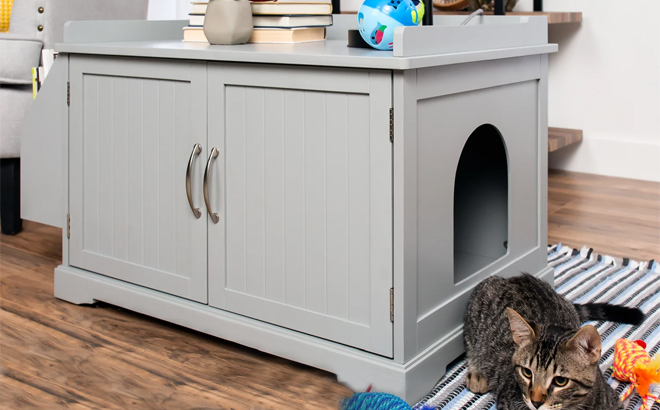 Large Wooden Cat Litter Box Enclosure Storage Cabinet with Magazine Rack and a Cat in Front of it