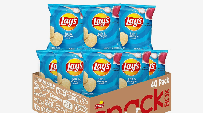Lays Potato Chips Salt and Vinegar