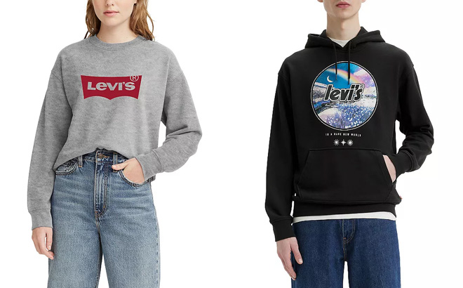 Levis Womens Crewneck Sweatshirt
