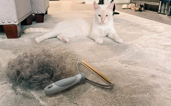 Metal Pet Hair Remover on the Carpet Next to a Pile of Pet Hair
