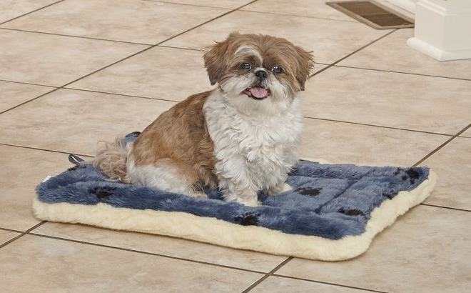 MidWest Homes for Pets Reversible Paw Print Pet Bed