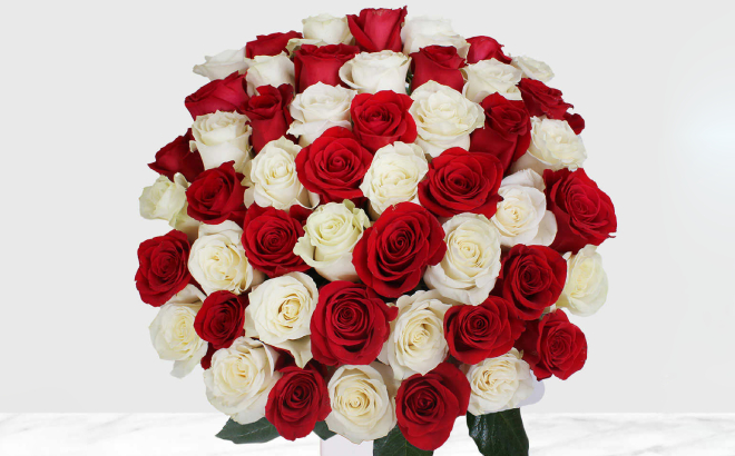 Mothers Day 50 Stem Red White Roses