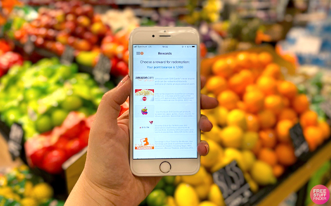 Hand Holding Phone with National Consumer Panel Rewards (or NCP) in Front of a Fruit Section in Store