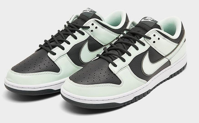 Nike Dunk Low Retro Premium Casual Shoes on Gray Background