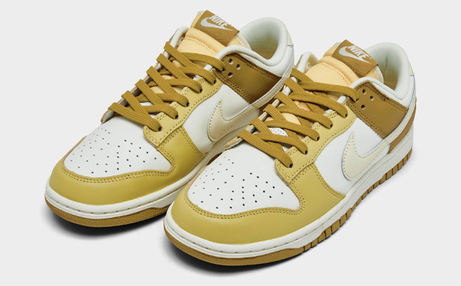 Nike Dunk Shoes $75 Shipped (Air Force $65) | Free Stuff Finder