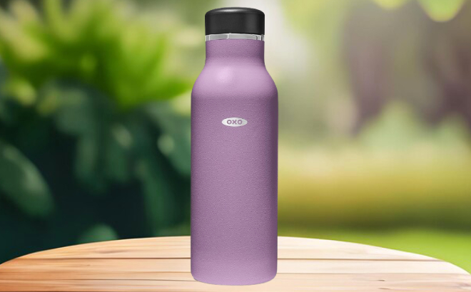 OXO Strive Insulated Water Bottle