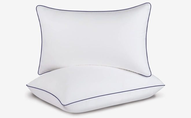 Opposy Queen Bed Pillow 2 Pack