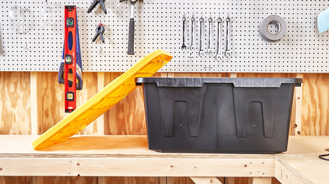 Project Source Storage Tote