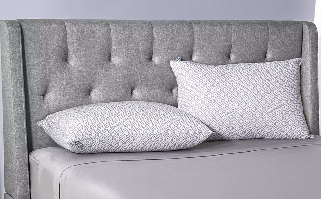 Sealy Elite Activated Charcoal Detoxifying Pillow Sealy Elite Activated Charcoal Detoxifying Pillow