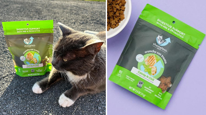 Shameless Pets Digestive Health Catnip Chicken Crunchy Cat Treats