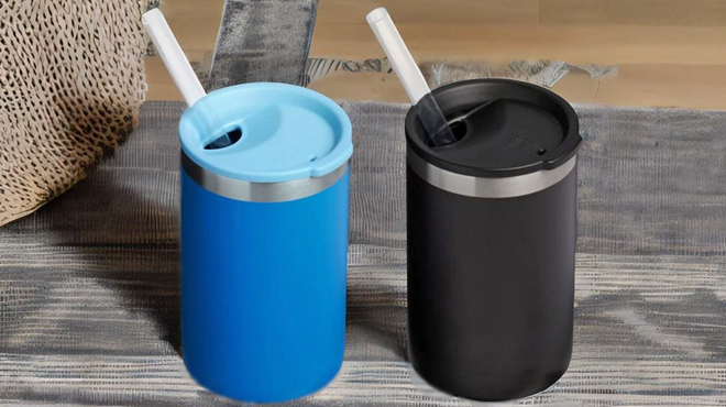 Stanley Everyday Can Cooler Cups with Straws