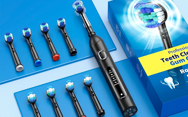 TEETHEORY Rotating Electric Toothbrush for Adults with 8 Brush Heads