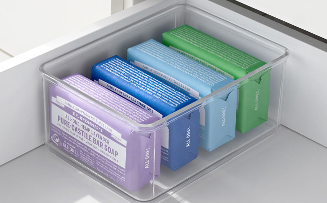 The Home Edit Medium Clear Storage Bin Insert