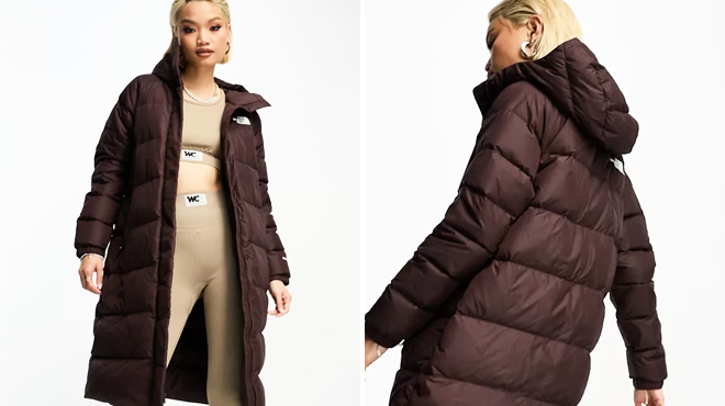 The North Face Womens Hooded Down Puffer Jacket