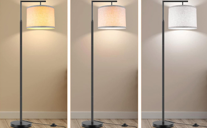 Three Rottgoon Floor Lamp