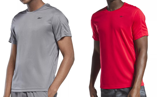 Two Reebok Mens Tshirts in Grey and Red