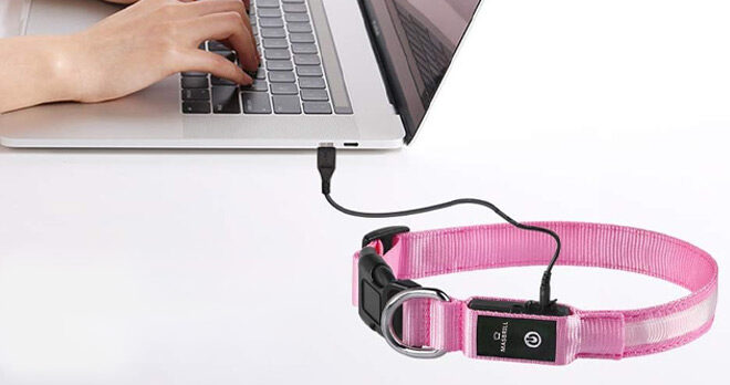 USB Rechargeable Light Up Dog Collar