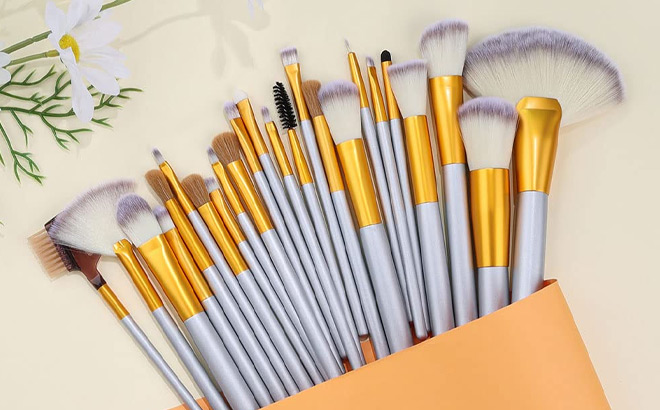 Vander 24 Piece Premium Cosmetic Makeup Brush Set in Champagne Color