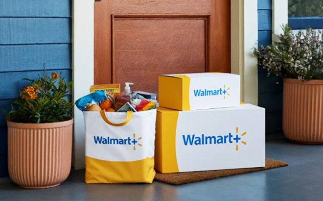 Walmart Plus Boxes and Grocery Bag in front of a Door