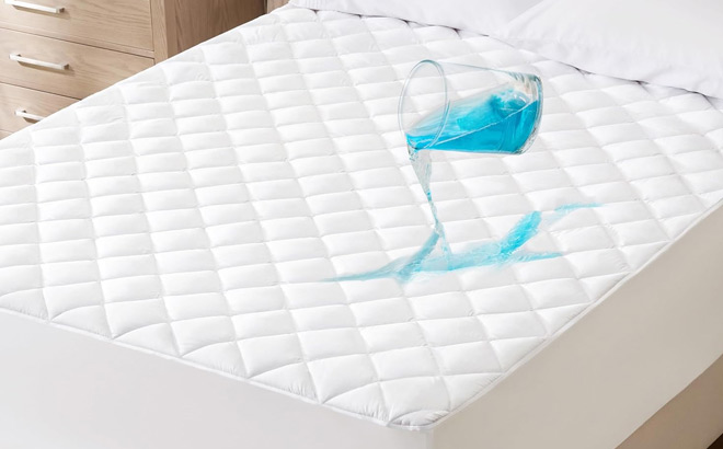 Waterproof Mattress Protector