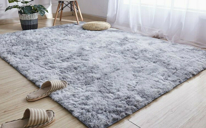 Yeerswag Shaggy Area Rug