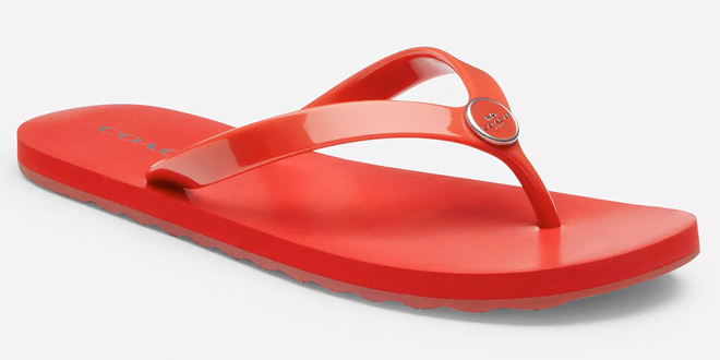 Zayn Flip Flop