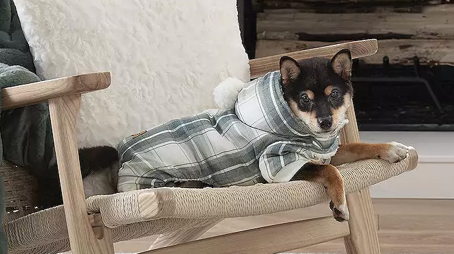 a Dog Wearing Koolaburra by UGG Alfie Sherpa Lined Pet Pajama