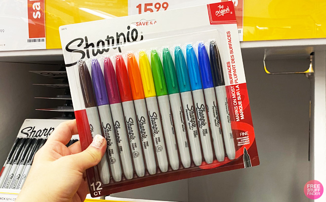 a Person Holding Sharpie Permanent Markers 12 Pack Fine Tip