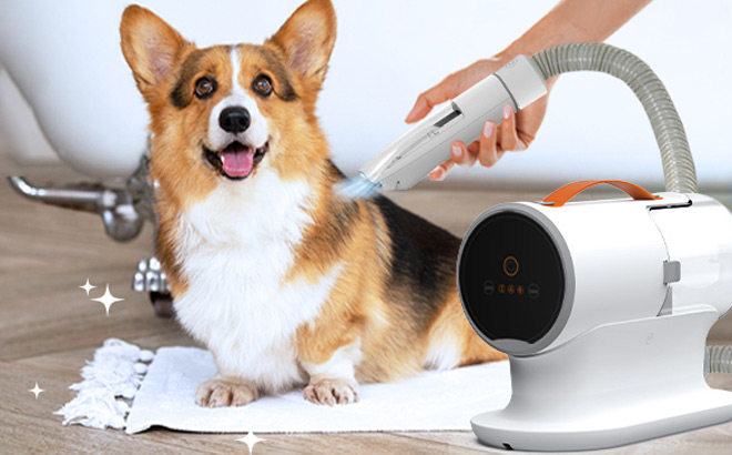 a Person Vacuuming Dogs Fur with Pet Grooming Vacuum