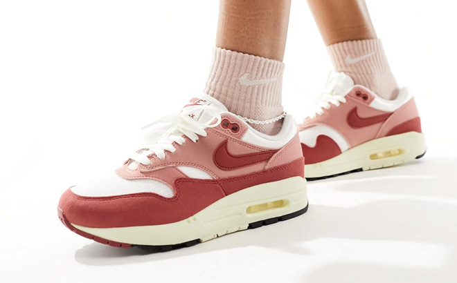 a Person Wearing Nike Air Max 1 Sneakers