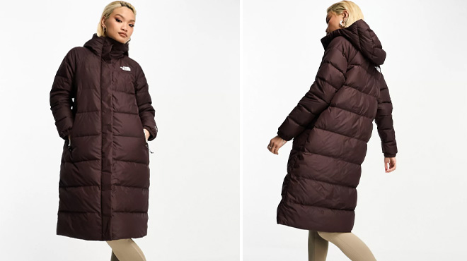 a Person Wearing The North Face Womens Down Jacket Front and Side View
