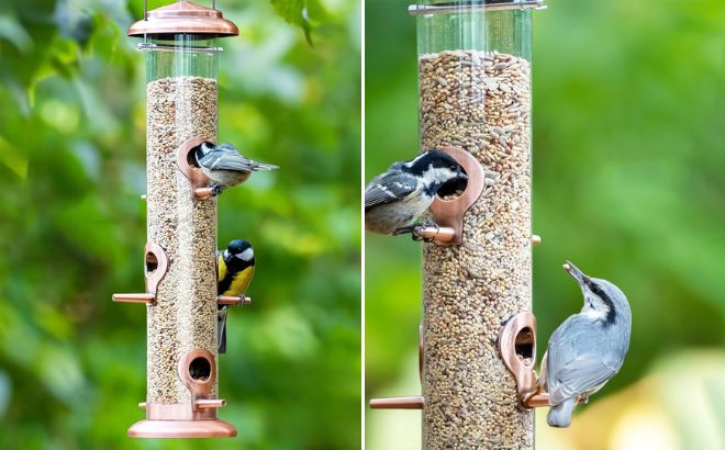 iBorn Metal Bird Feeder iBorn Metal Bird Feeder