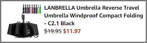 Windproof Travel Umbrella Summary