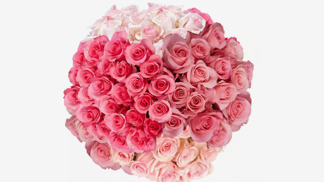 100 Stems Fresh Cut Pink Roses