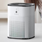 2 Pack CHIVALZ Air Purifiers for Bedroom Air Purifiers for Home Bedroom
