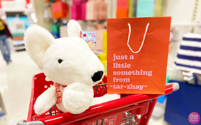 22Just a little something from Tar Zhay22 Gift Bag in a Target Shopping Cart with Bullseye Plush Dog