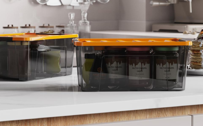 5 Quart Small Storage Container Bins