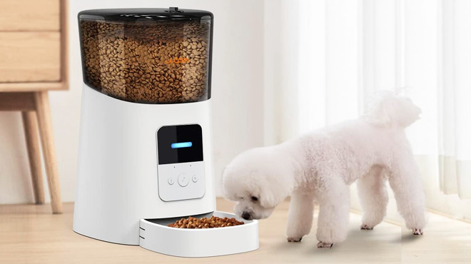 6L Automatic Cat Feeder