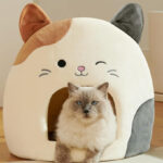 A Cat Sitting in Squishmallows Cam The Cat Pet Cave
