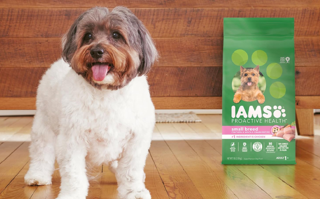 A Dog Beside Iams Dry Dog Food A Dog Beside Iams Dry Dog Food
