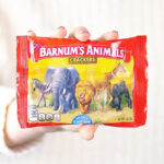 A Person Holding Barnums Animal Crackers