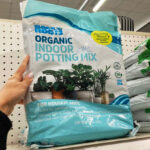 A Person Holding a Bag of Back to the Roots Indoor Potting Mix