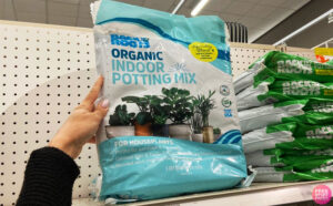 A Person Holding a Bag of Back to the Roots Indoor Potting Mix