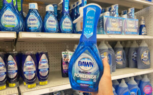 A Person Holding a Dawn Platinum Powerwash Dish Spray