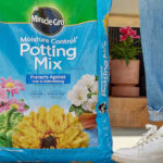 A Person Standing Beside a Bag of Miracle Gro Potting Mix