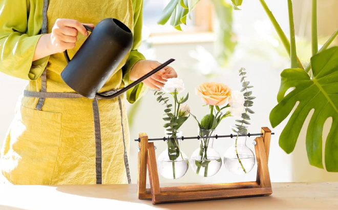A Person Watering Plants in a Plant Terrarium with Wooden Stand