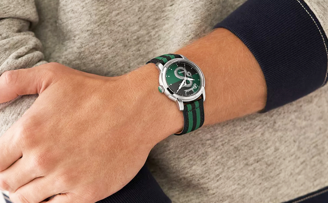 A Person Wearing Fossil x Harry Potter Three Hand Slytherin Nylon Watch