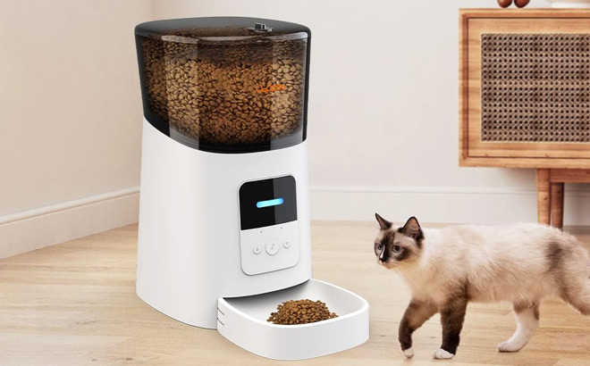 Automatic Cat Feeder
